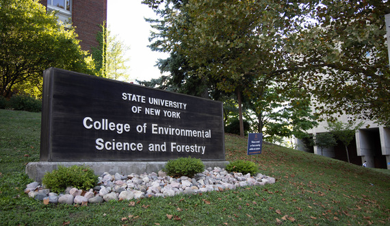 SUNY temporarily waives application fees for prospective students