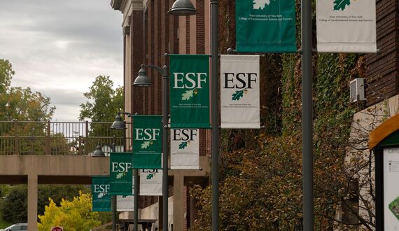 Stanford lists 34 ESF researchers among the world&#8217;s most cited scientists in 2021